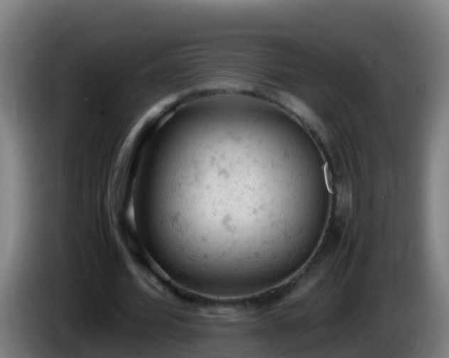 X0000086030580200703301056