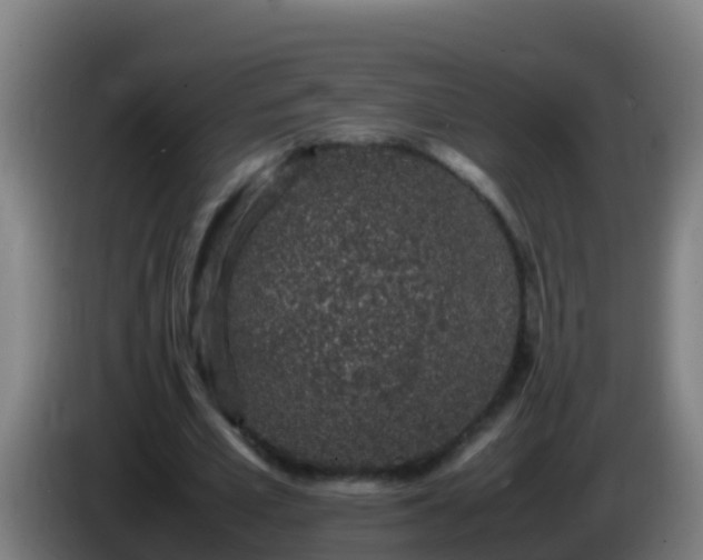 X0000086030581200703301056