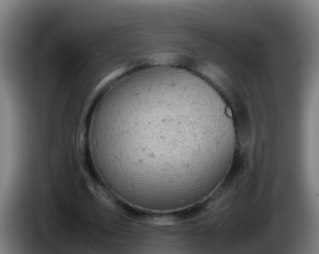 X0000086030583200703301056