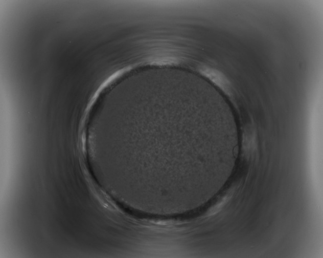 X0000086030584200703301056