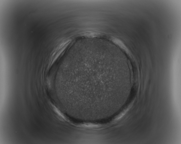 X0000086030585200703301056