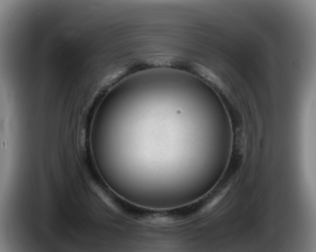 X0000086030589200703301056