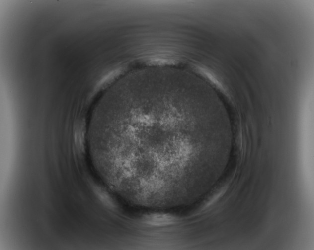 X0000086030590200703301056