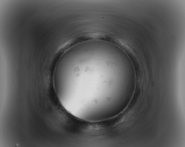 X0000086030591200703301056