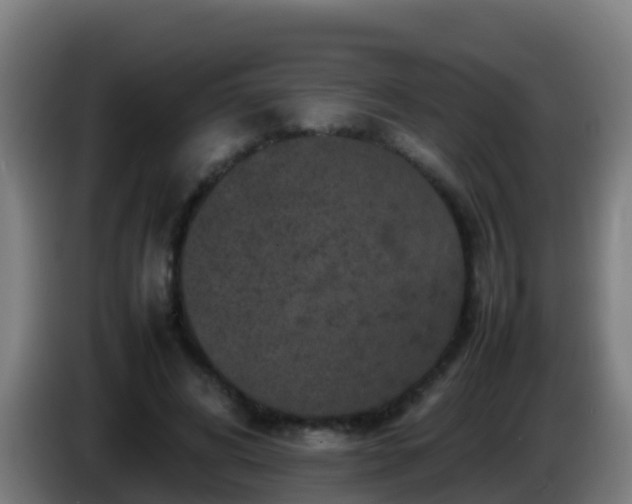 X0000086030592200703301056