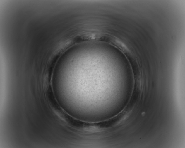 X0000086030594200703301056