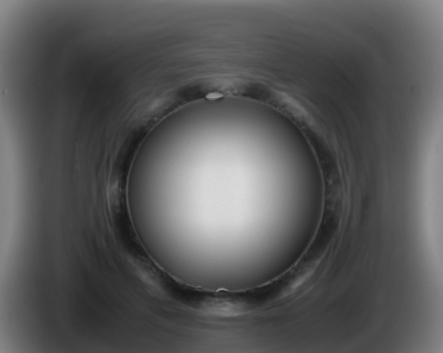 X0000086030597200703301056