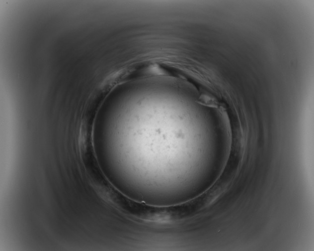 X0000086030600200703301056