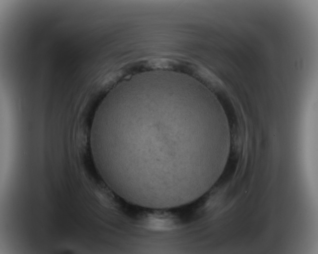 X0000086030603200703301055