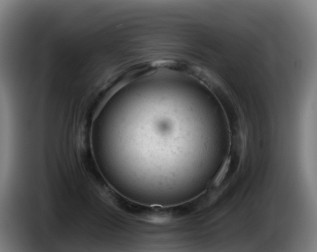 X0000086030604200703301055