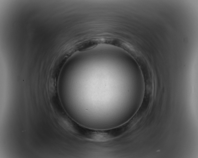 X0000086030605200703301055