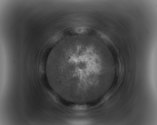 X0000086030606200703301055