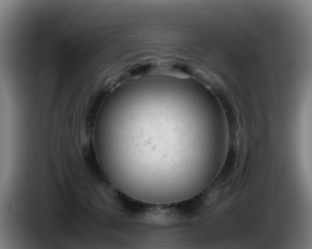 X0000086030607200703301055