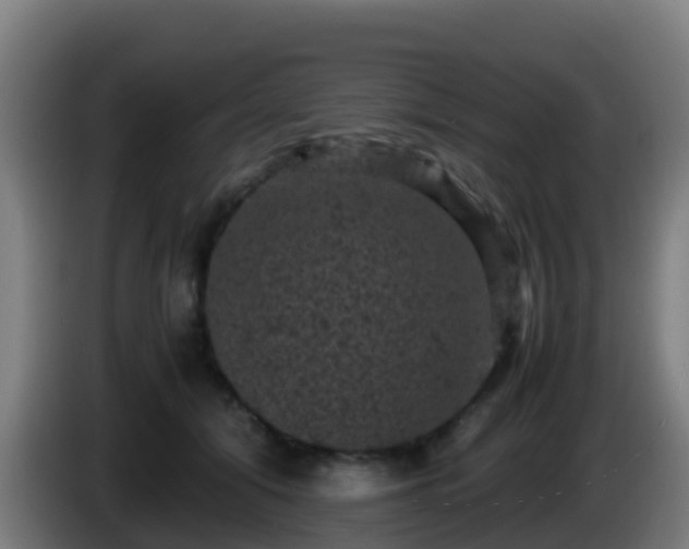 X0000086030608200703301055