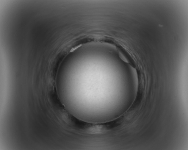 X0000086030609200703301055