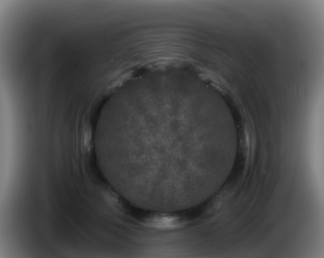 X0000086030610200703301055