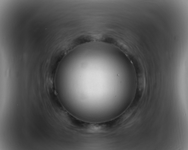 X0000086030613200703301055