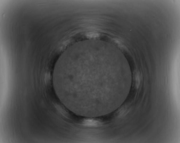 X0000086030614200703301055