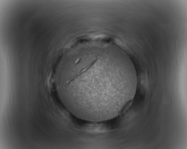 X0000086030615200703301055