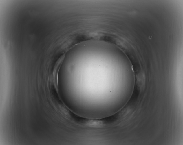 X0000086030617200703301055