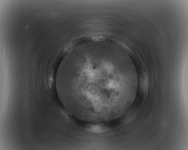 X0000086030618200703301055