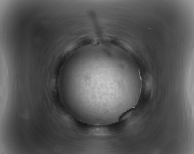 X0000086030619200703301055