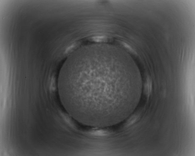 X0000086030620200703301055