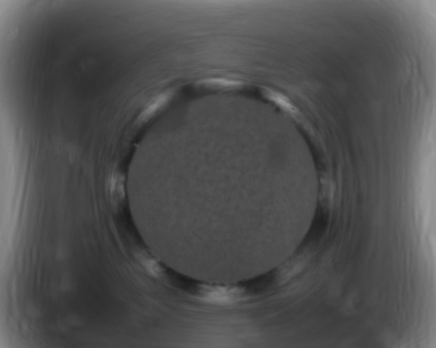 X0000086030621200703301055