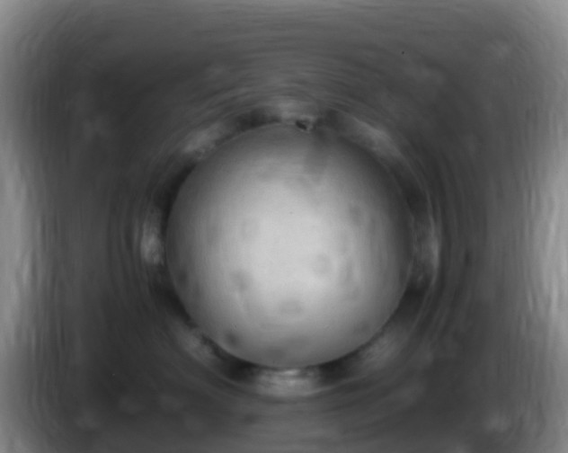 X0000086030622200703301055