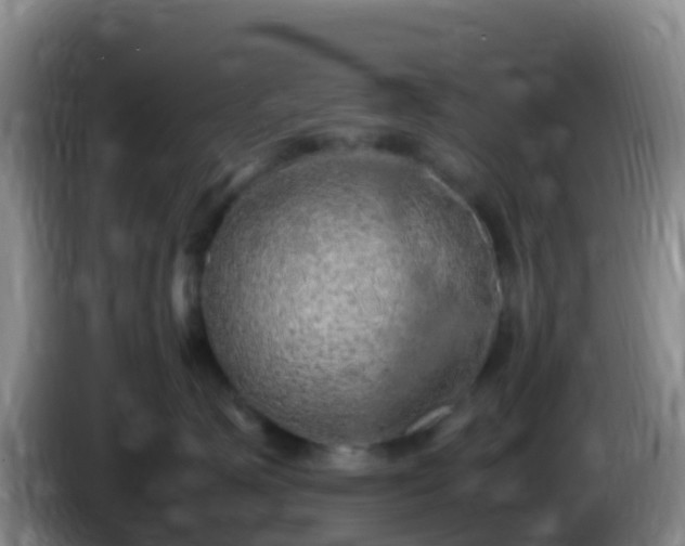 X0000086030623200703301055