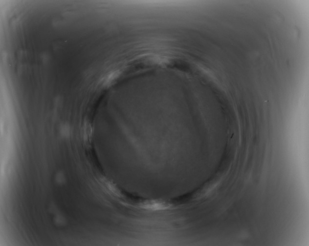 X0000086030624200703301055