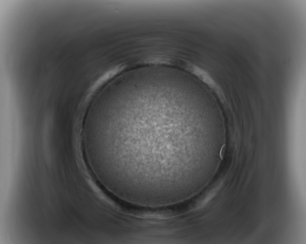 X0000086030625200703301055