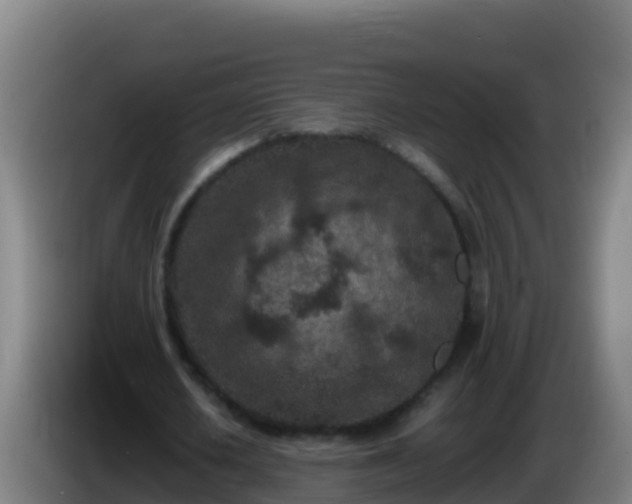 X0000086030626200703301055