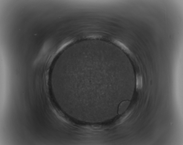 X0000086030627200703301055