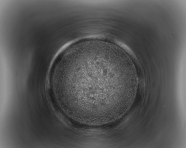 X0000086030628200703301055