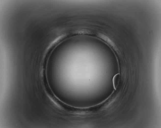 X0000086030629200703301055