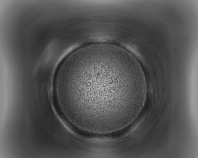 X0000086030630200703301055