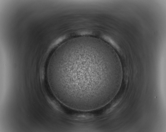 X0000086030631200703301055