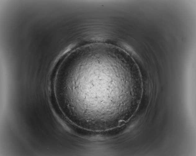 X0000086030634200703301055