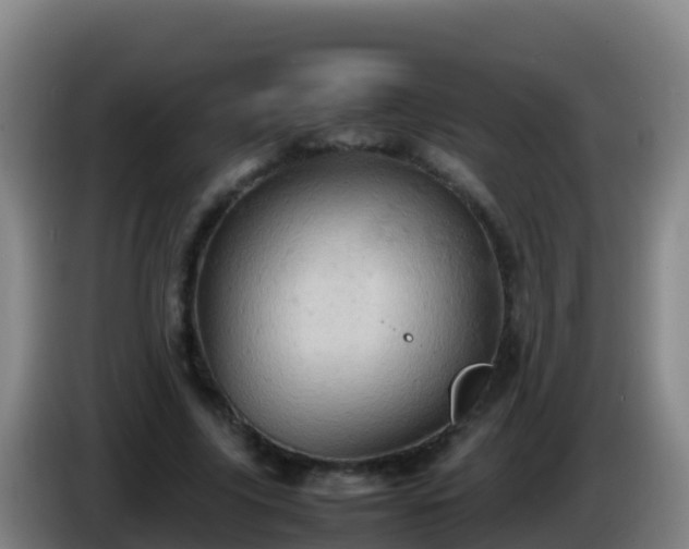 X0000086030635200703301055