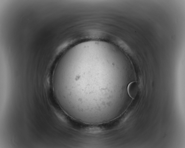 X0000086030636200703301055