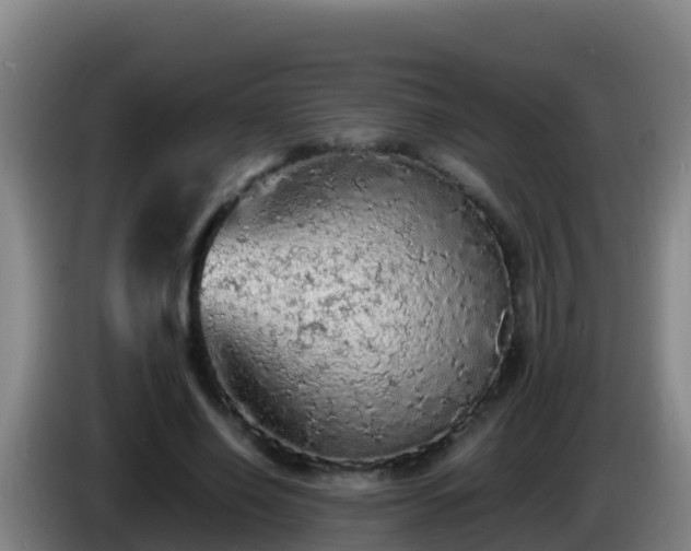 X0000086030638200703301055