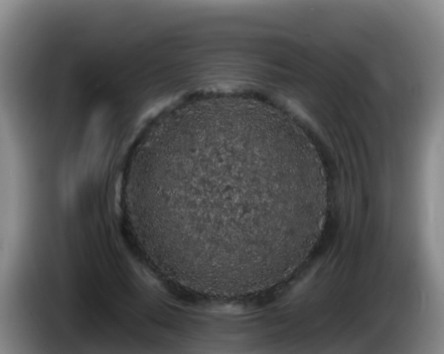 X0000086030640200703301055