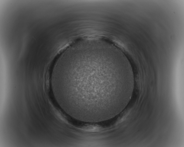 X0000086030642200703301055