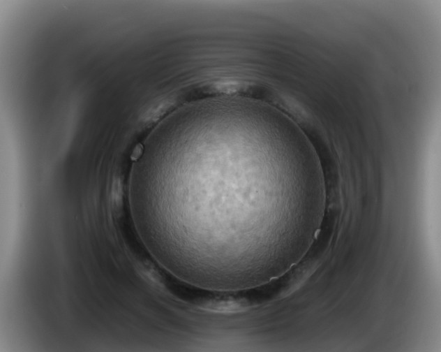 X0000086030646200703301055