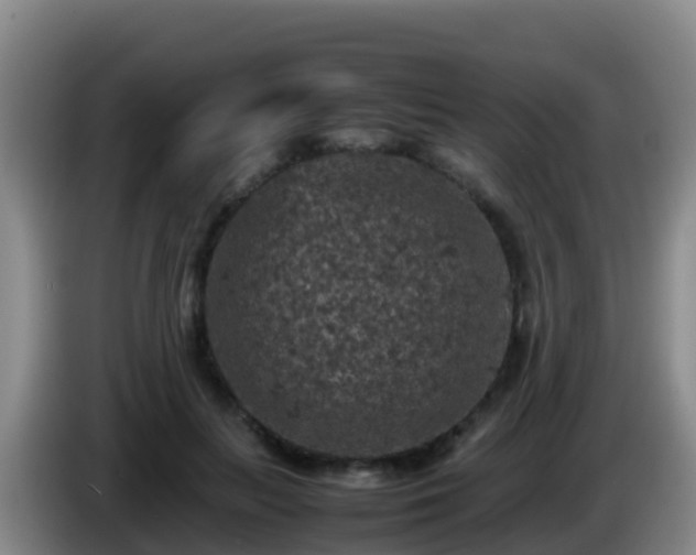 X0000086030647200703301055