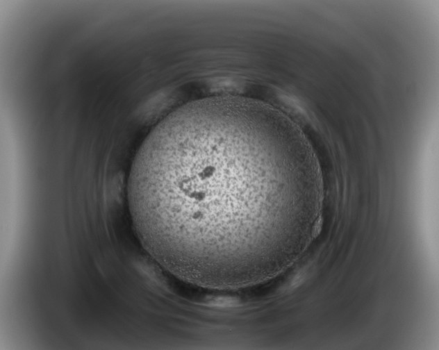 X0000086030649200703301055