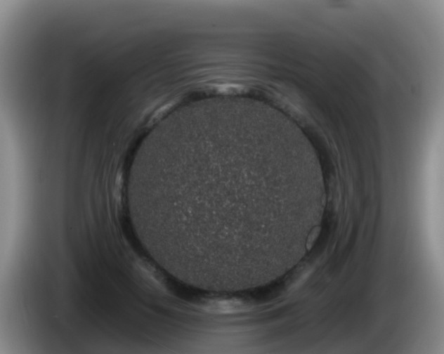 X0000086030650200703301055