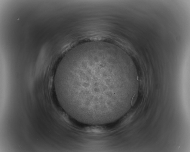 X0000086030652200703301055