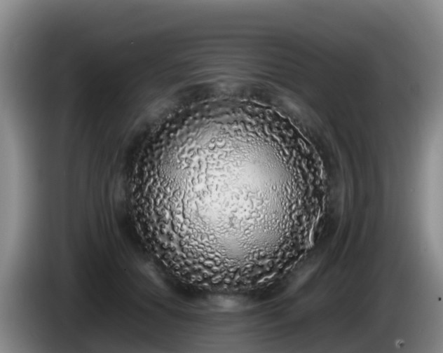 X0000086030654200703301055